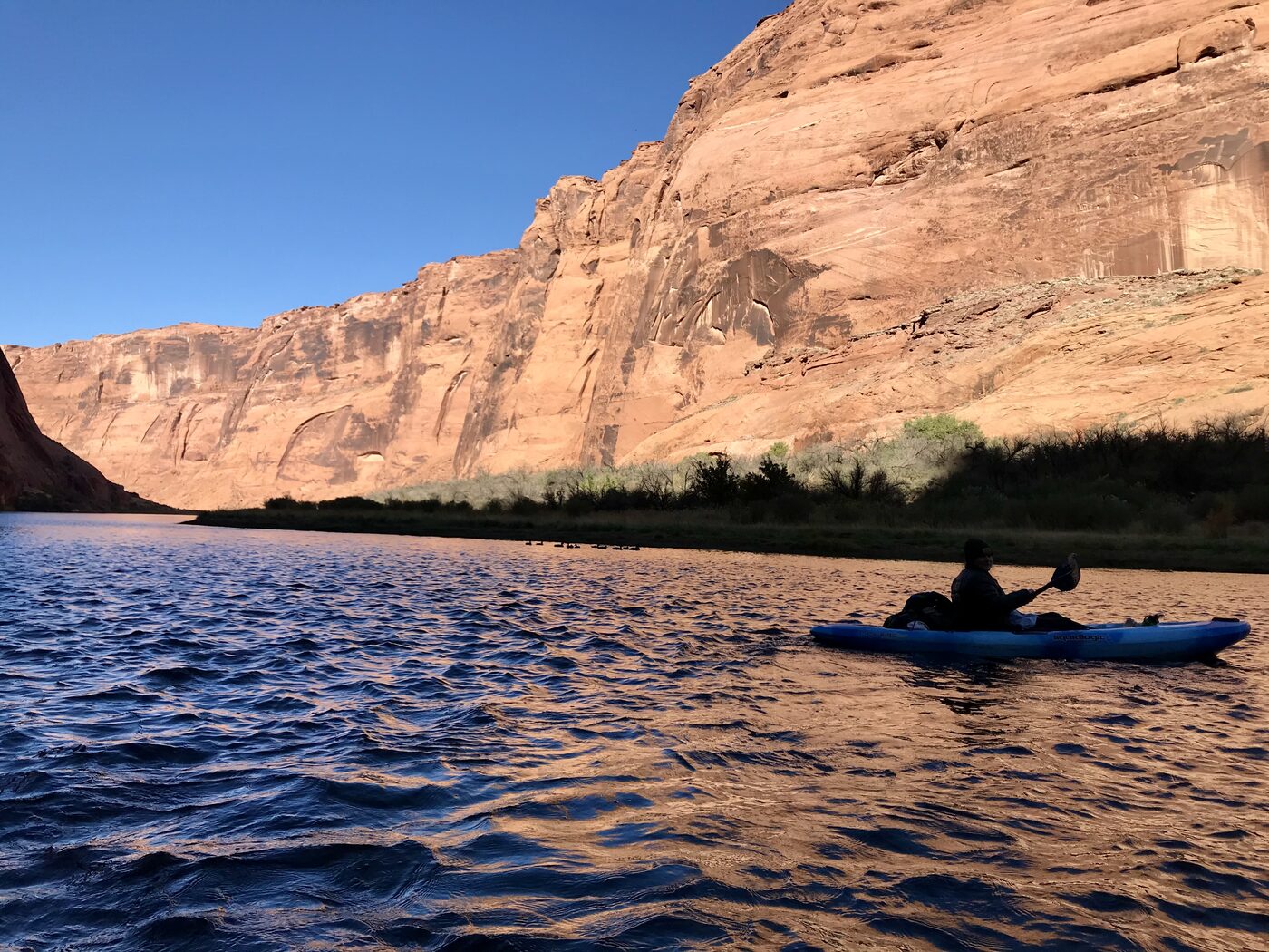 A kayaker on the Colorado River below the red cliffs of Glen Canyon