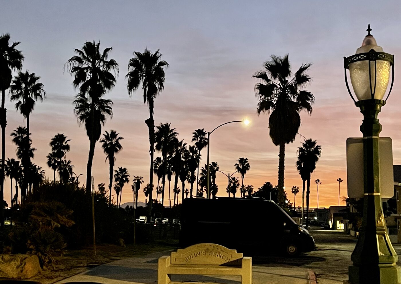 Palms and a parking spot, Southern California