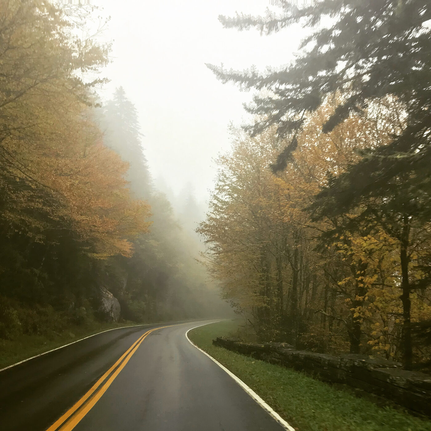 A wet mountain road curving into fog through fall color in the Great Smoky Mountains