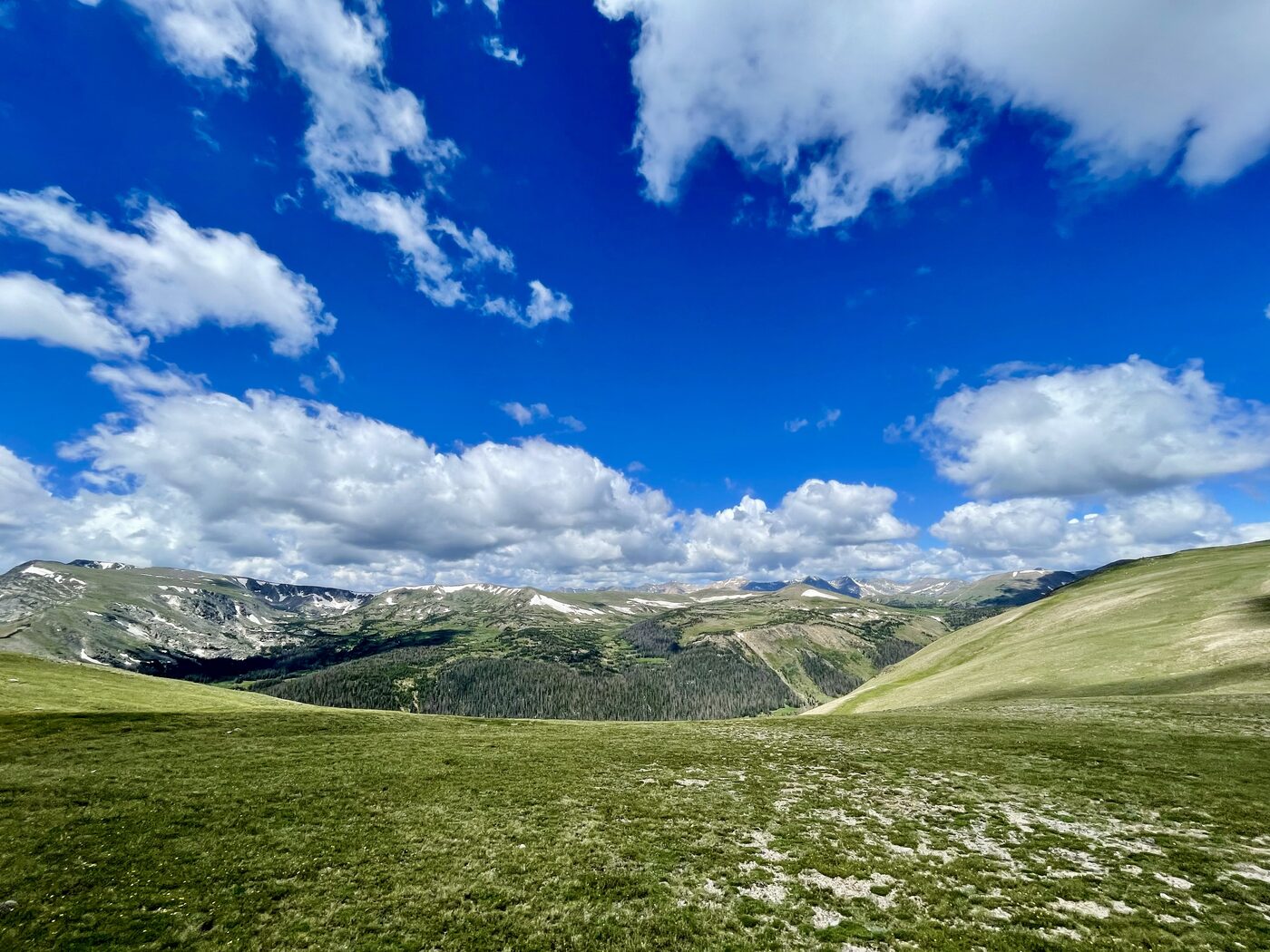 Green tundra under big clouds in Rocky Mountain National Park